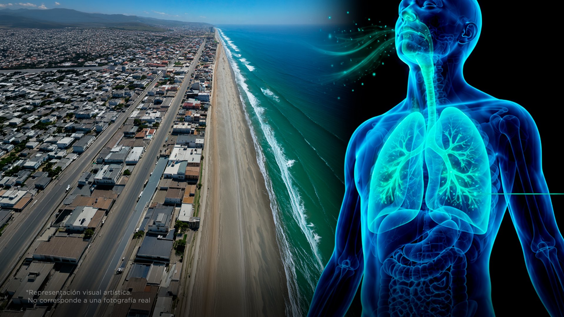 4 beneficios de vivir junto al mar que no conocías